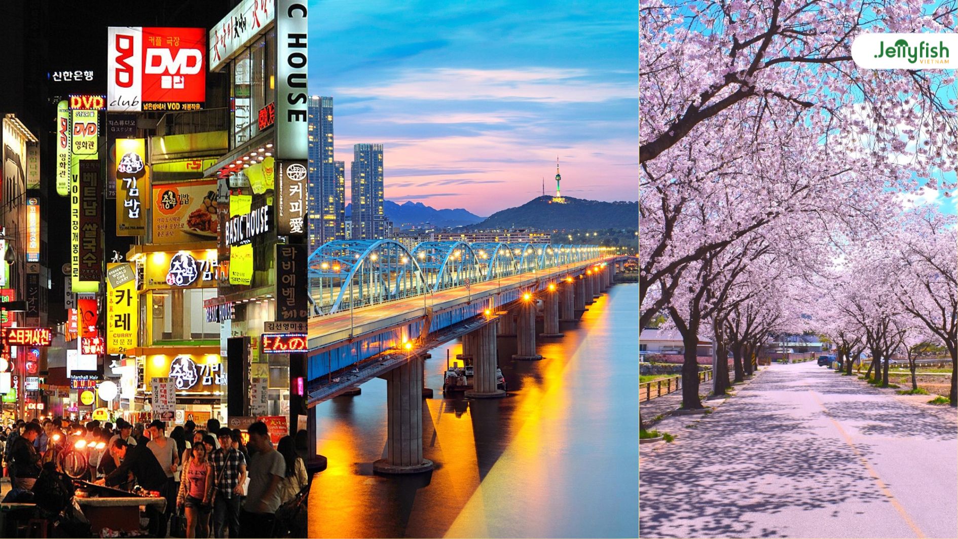 Học tại Hanyang cũng là cơ hội để du học sinh khám phá Seoul