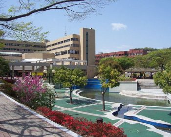 Trường đại học Gyeongsang