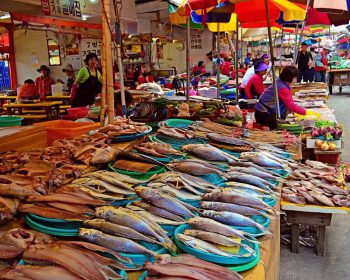 Chợ cá Jagalchi là điểm du lịch nổi tiếng tại thành phố Busan Hàn Quốc