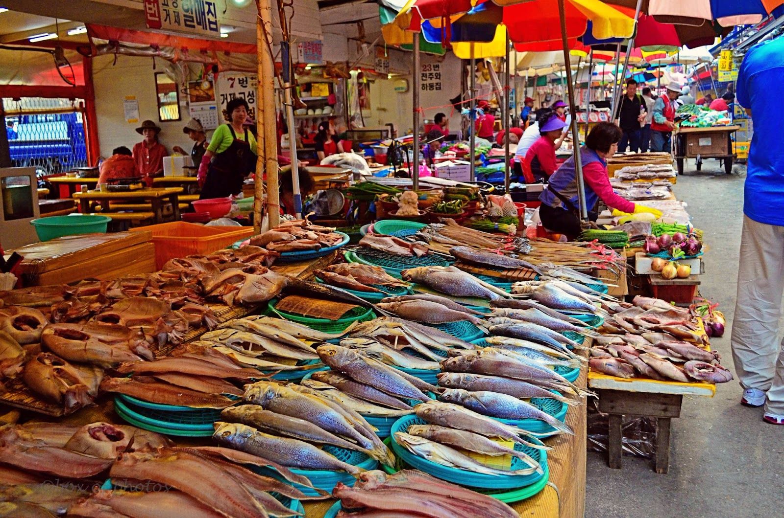 Chợ cá Jagalchi là điểm du lịch nổi tiếng tại thành phố Busan Hàn Quốc