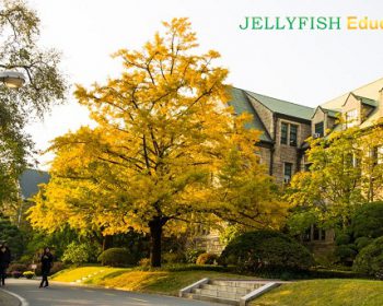 Đại học nữ Ewha luôn nằm trong Top các trường đại học đẹp nhất Hàn Quốc