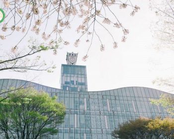 Các trường Visa thẳng Top 1% làm hồ sơ du học Hàn Quốc nhanh nhất