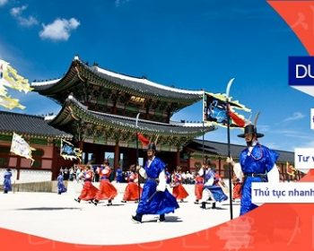 Du học Hàn Quốc cùng Jellyfish Education