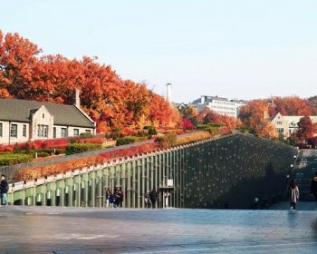 Một góc thiên nhiên của trường Đại học Ewha