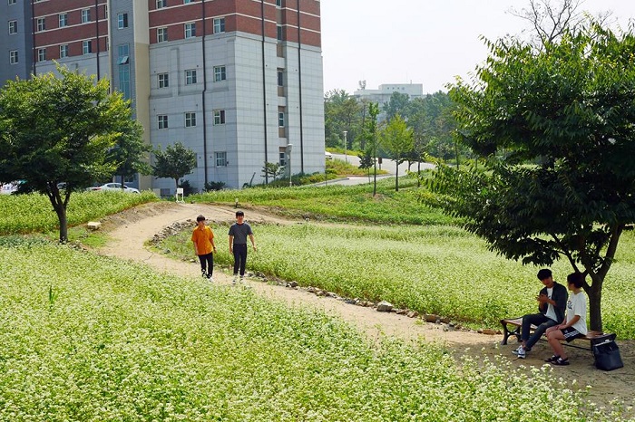 Những góc sống ảo được check in nhiều nhất ở Đại học Daegu 6