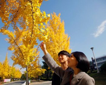 Những góc sống ảo được check in nhiều nhất ở Đại học Daegu 9