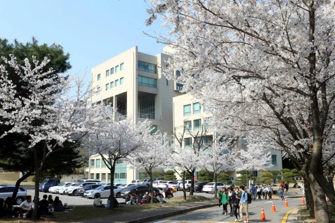 Đại học Myongji- Jellyfish