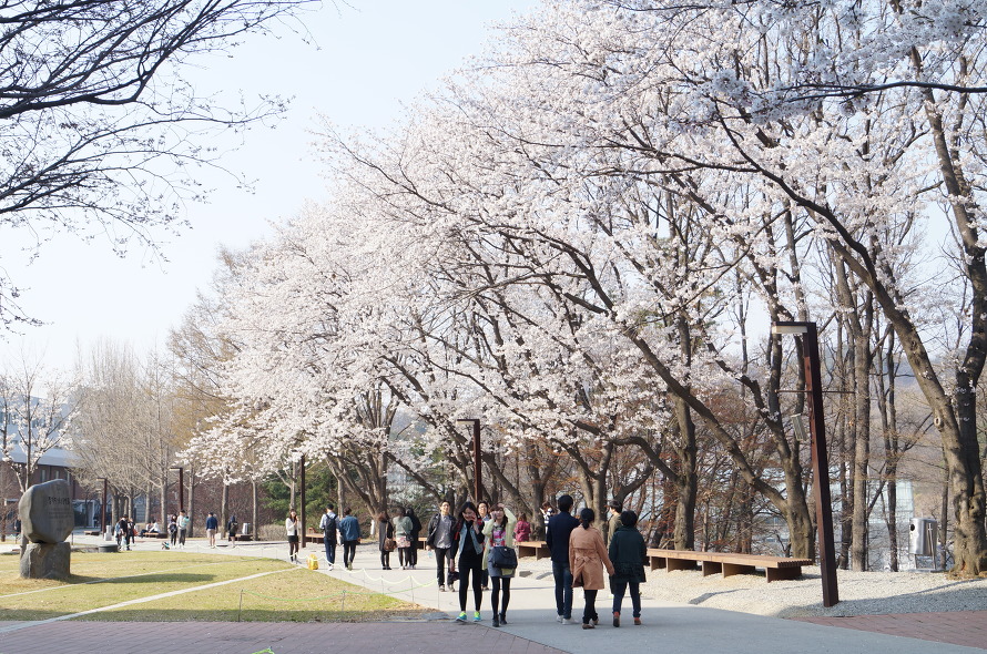 Trường đại học Daejeon