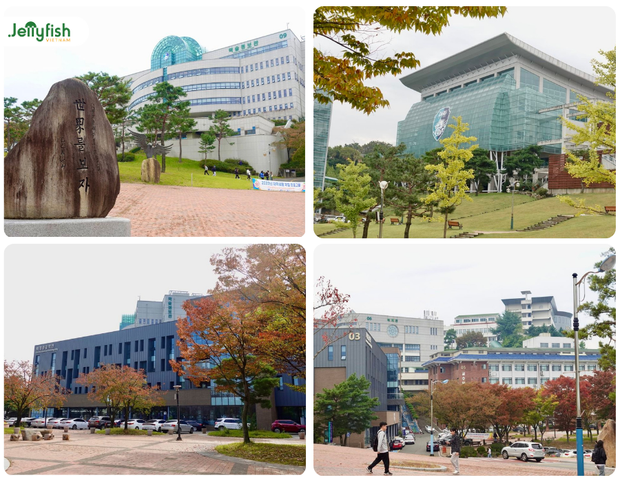 Khuôn viên Đại học Daegu Haany