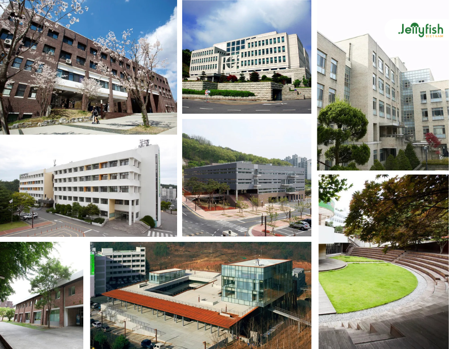 Các tòa nhà chức năng của Đại học Daejeon