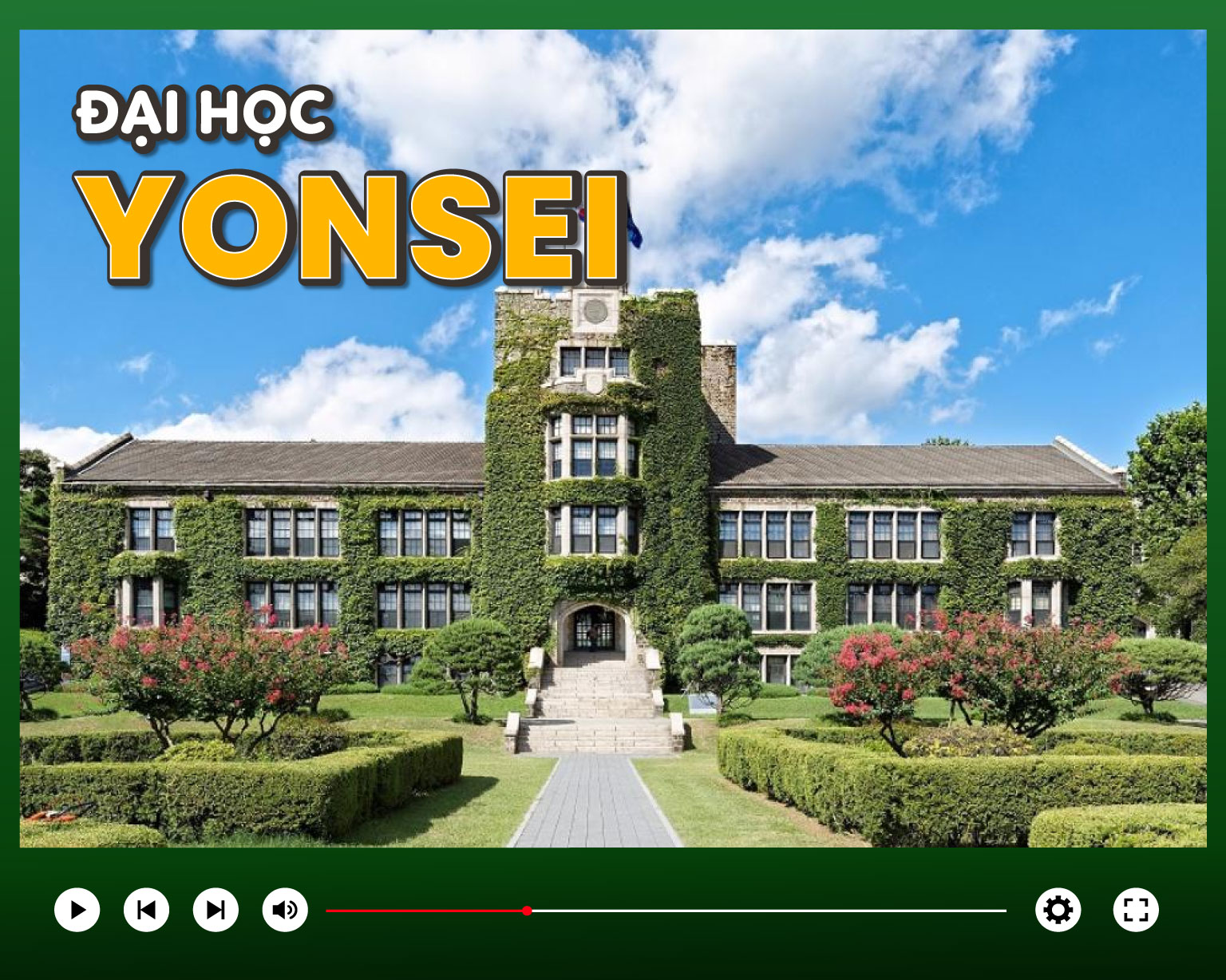 Đại học Yonsei