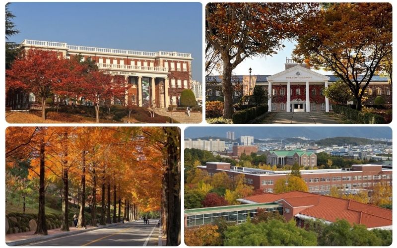Khuôn viên Đại học Keimyung vào mùa thu