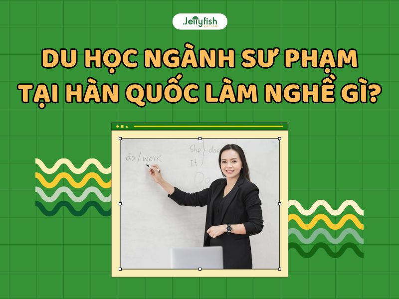 Du học Hàn Quốc ngành sư phạm sau ra làm gì?