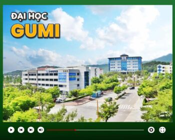 Trường Đại học Gumi