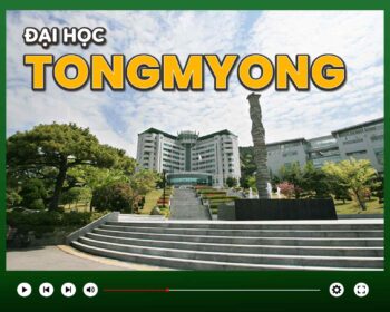 Đại học Tongmyong Hàn Quốc