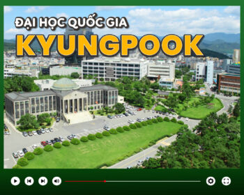 Đại học Quốc gia Kyungpook