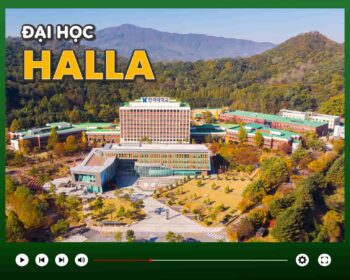 Trường Đại học Halla Hàn Quốc