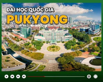 Trường Đại học Quốc gia Pukyong