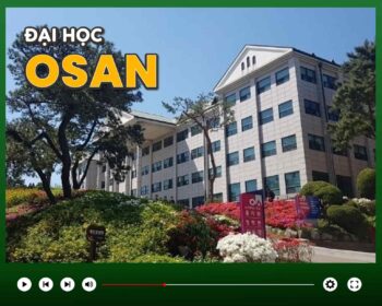 Đại học Osan Hàn Quốc