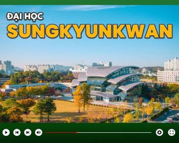 Đại học Sungkyunkwan Hàn Quốc